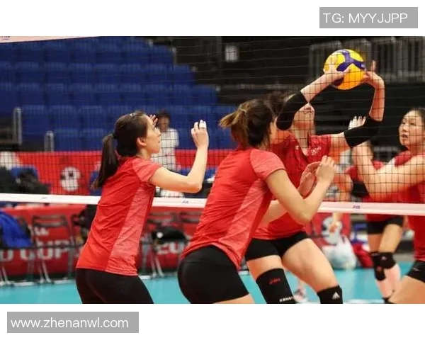 成都排球队实力深度解析与对手力量对比全景分析